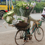 Hanoi - bloemen 2