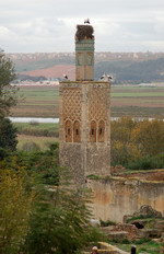 Rabat - Chellah